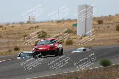 media/May-03-2025-Lucky Dog Racing (Sat) [[206de64b9d]]/Turn 6 (150pm-230pm)/